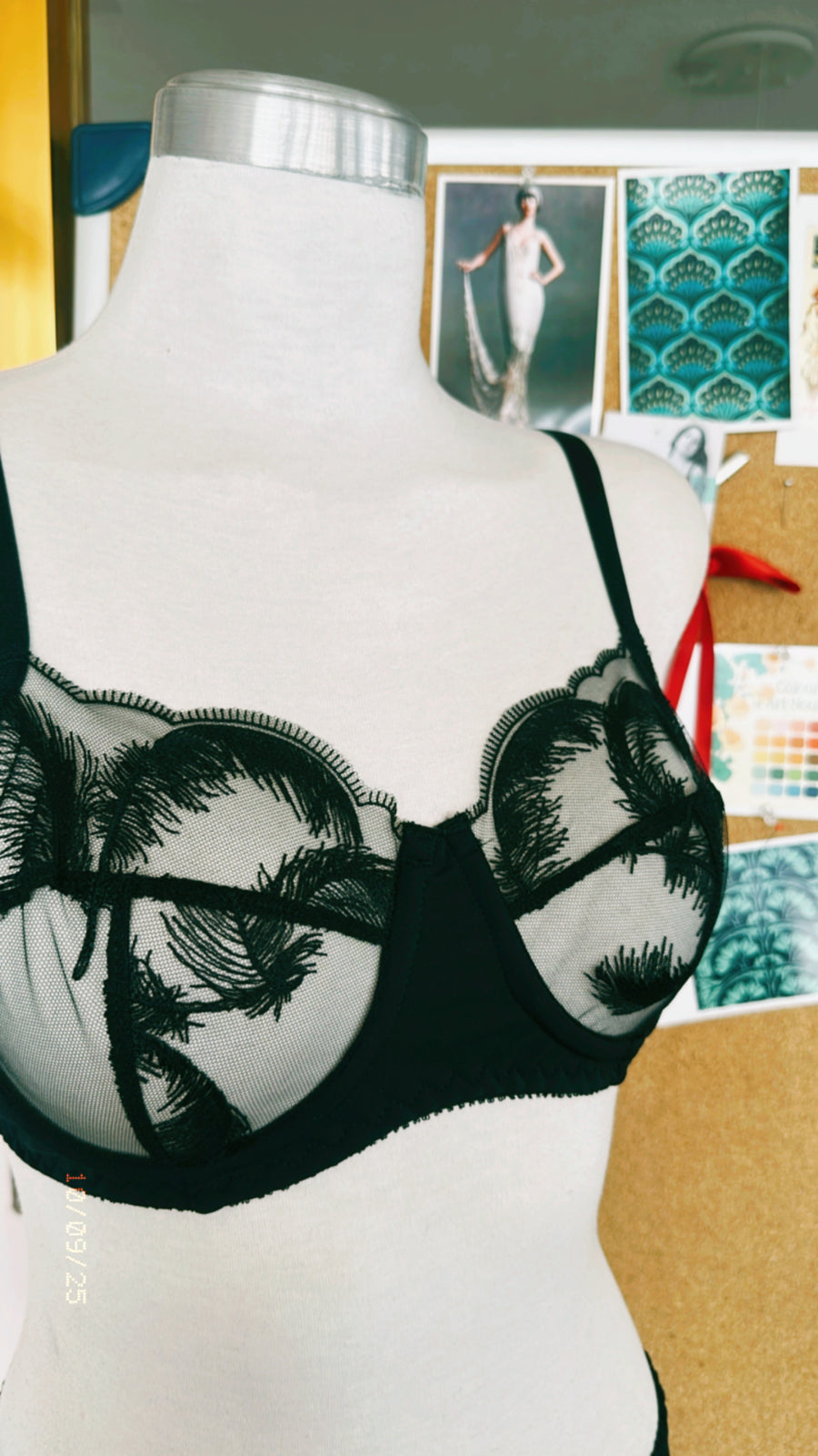 Black Swan Underwire Bra